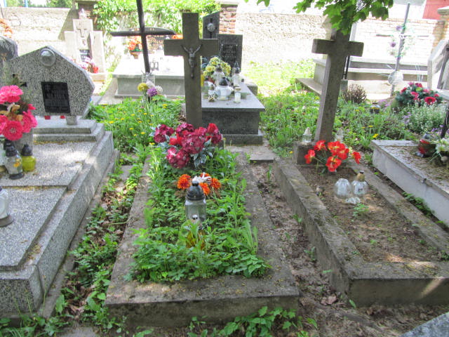 Elżbieta Ćwikła 1875 Przeworsk - Grobonet - Wyszukiwarka osób pochowanych