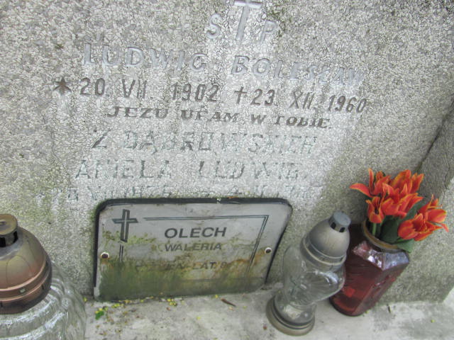 Bolesław Ludwg 1902 Przeworsk - Grobonet - Wyszukiwarka osób pochowanych
