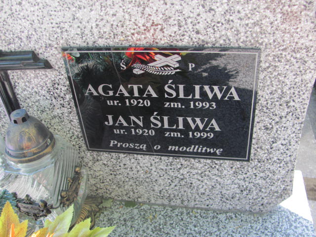 Jan Śliwa 1920 Przeworsk - Grobonet - Wyszukiwarka osób pochowanych