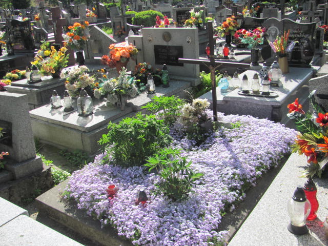 Piotr DESZKIEWICZ Przeworsk - Grobonet - Wyszukiwarka osób pochowanych