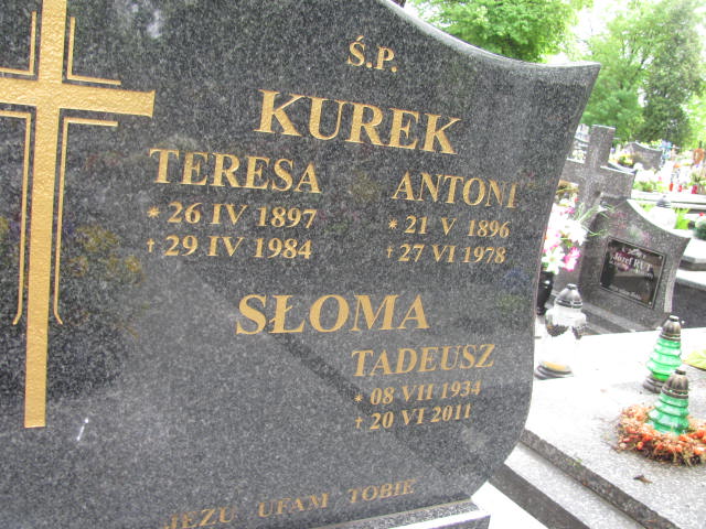 Teresa Kurek 1897 Przeworsk - Grobonet - Wyszukiwarka osób pochowanych