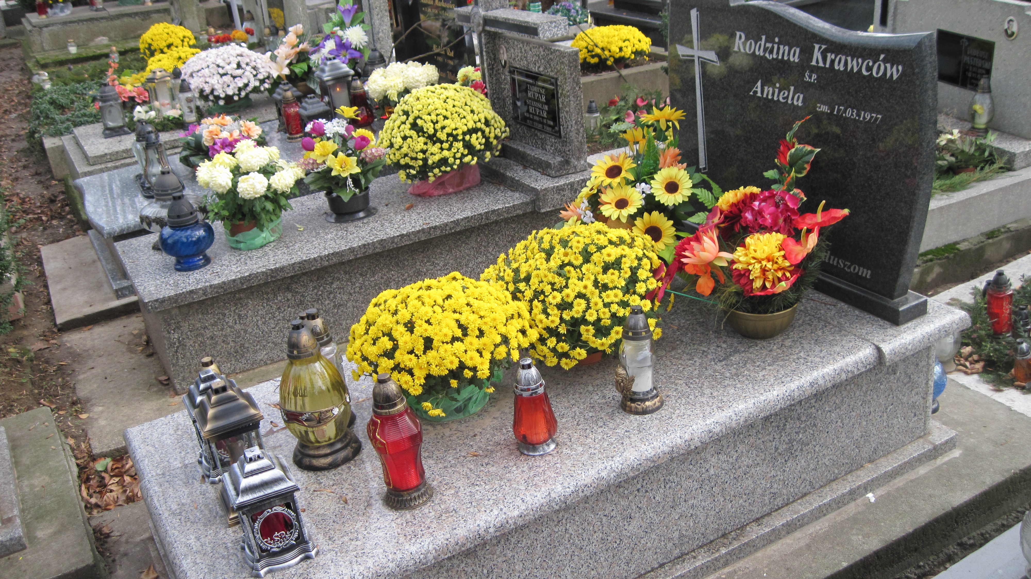 Agata Krawiec 1967 Przeworsk - Grobonet - Wyszukiwarka osób pochowanych