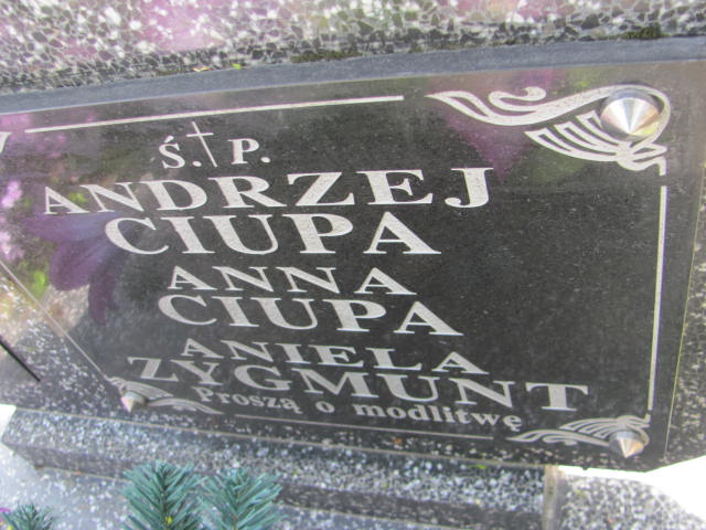 Anna Ciupa 1880 Przeworsk - Grobonet - Wyszukiwarka osób pochowanych