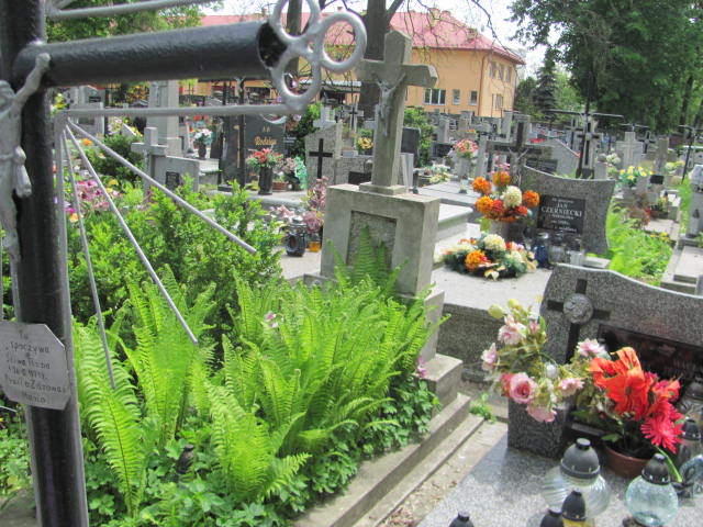 Maria Dudek 1930 Przeworsk - Grobonet - Wyszukiwarka osób pochowanych