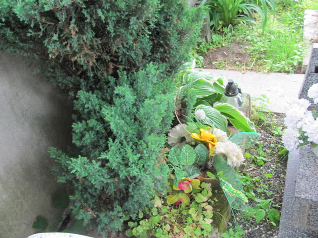 Stanisława SŁYSZ 1941 Przeworsk - Grobonet - Wyszukiwarka osób pochowanych