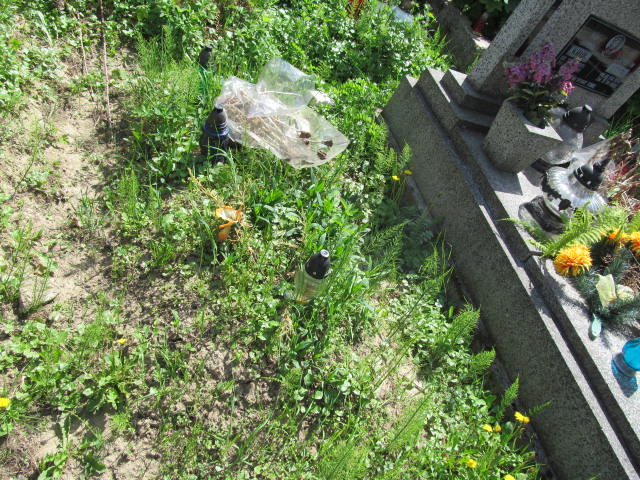 Adam Hołub 1974 Przeworsk - Grobonet - Wyszukiwarka osób pochowanych